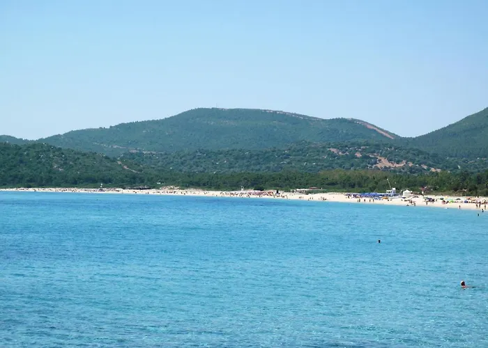 Delphino - Rei255 By Interhome מונטה נאי