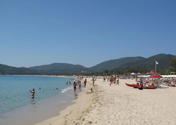 Delphino - Rei255 By Interhome בית נופש מונטה נאי